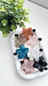 PINCHE FLORES BRILLOS