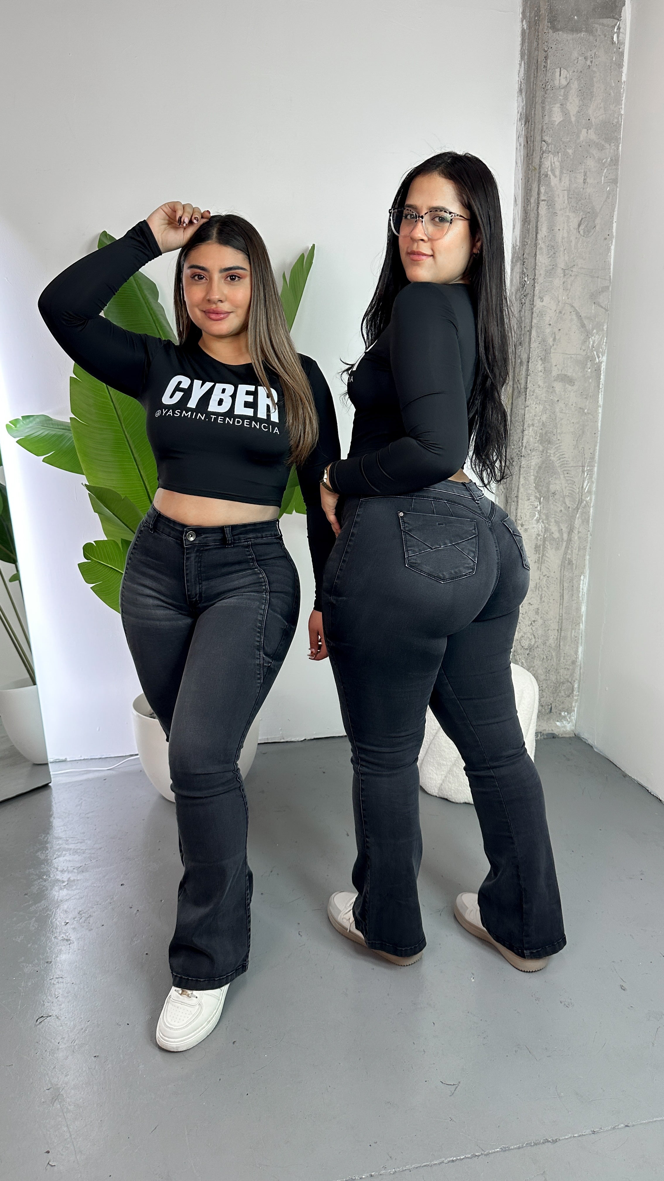 FLARE CURVY GRIS